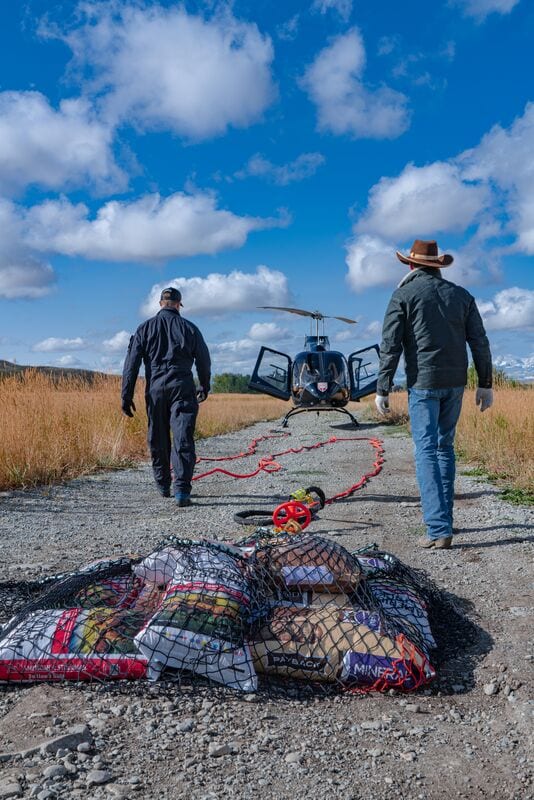 Rotores Rocky Mountain Bell 505